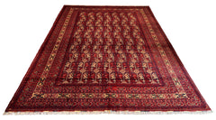 Hand-Knotted Afghani Rug Beshir design wool on cotton base- #786-8421